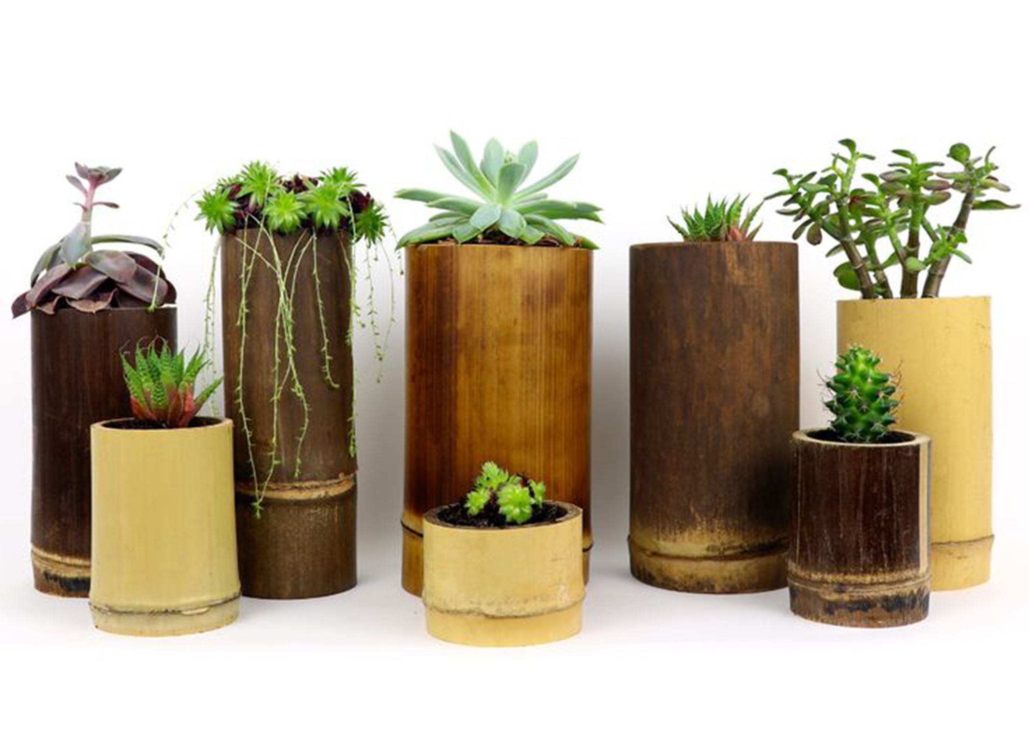 Bamboo Planter - National Wholesale Craft Store